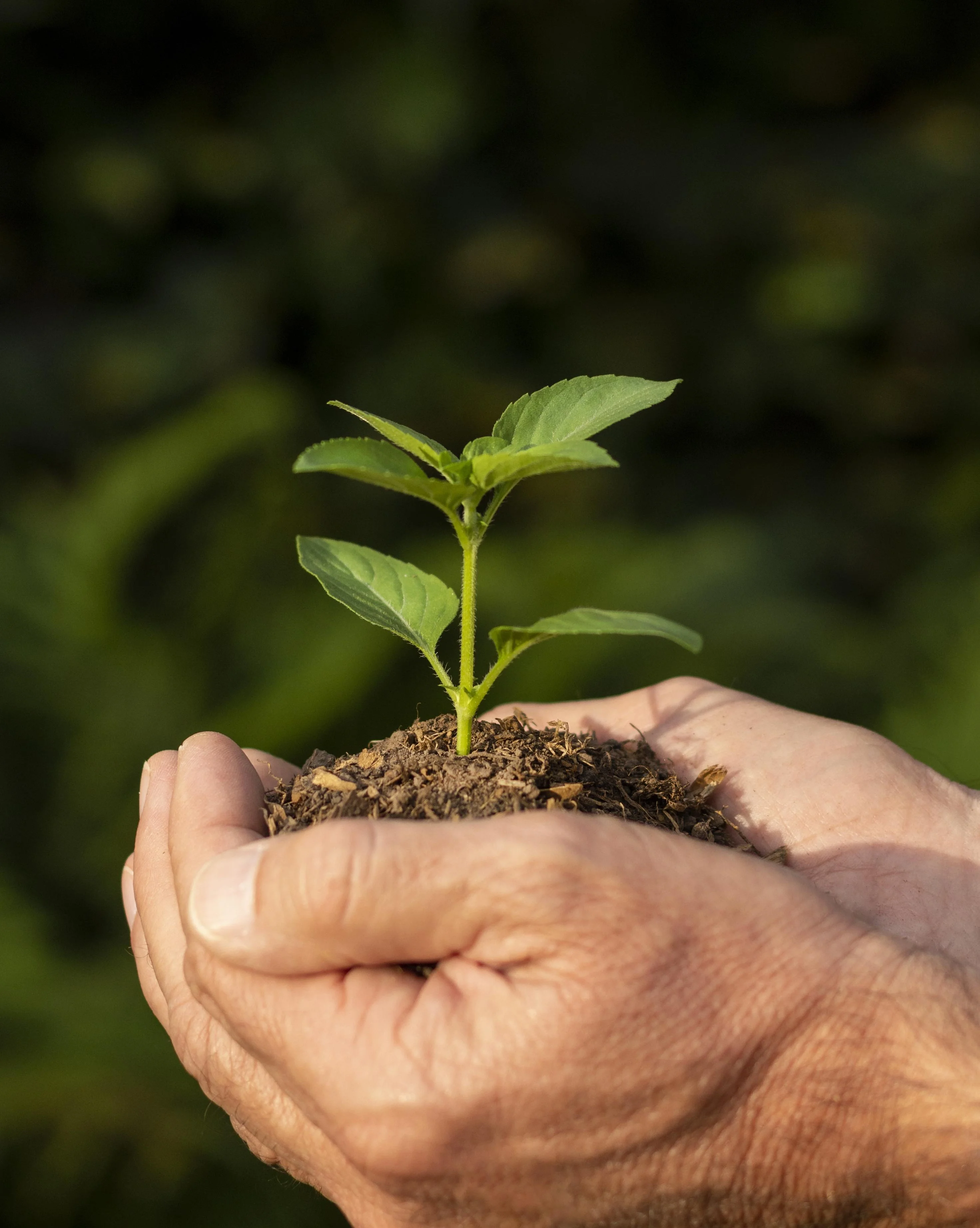 Imagen de Nosotros 2