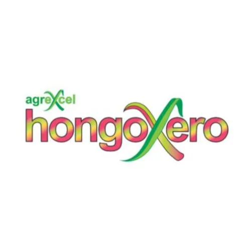 HONGOXERO