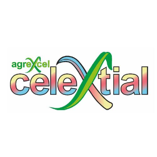 CELEXTIAL
