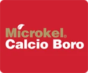 MICROKEL CALCIO BORO
