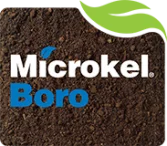 MICROKEL BORO
