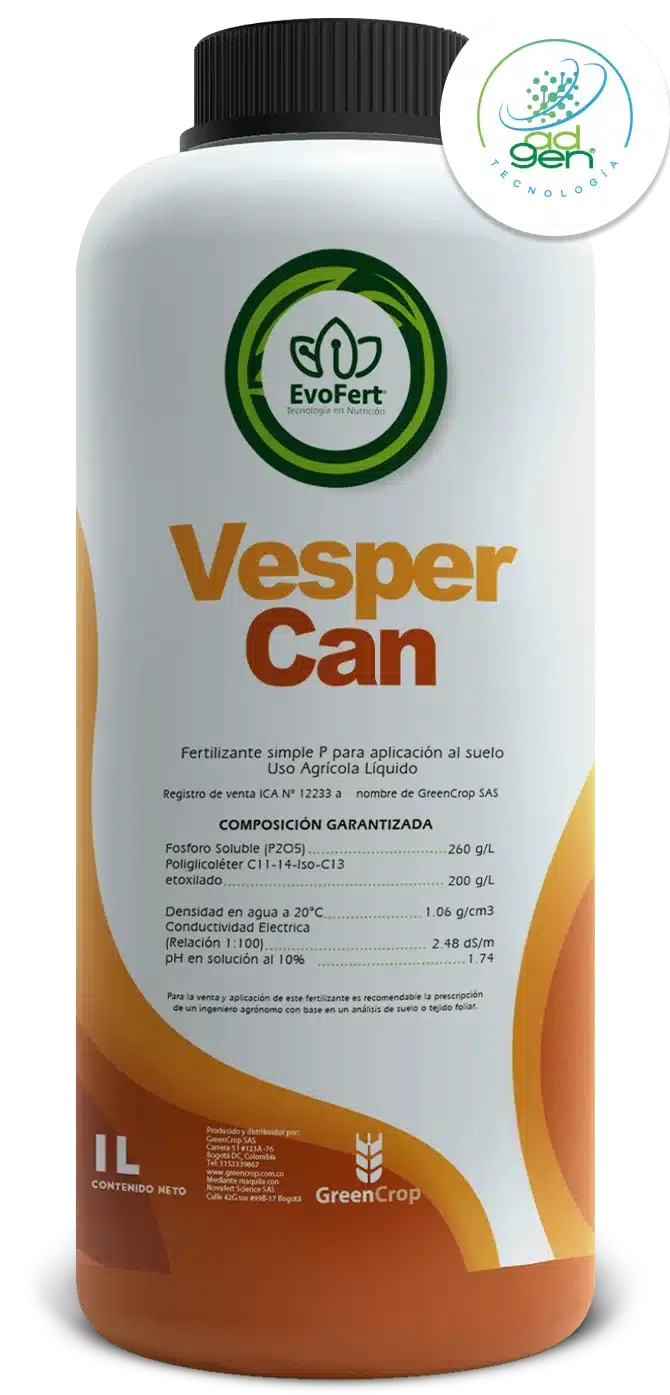 VESPER CAN