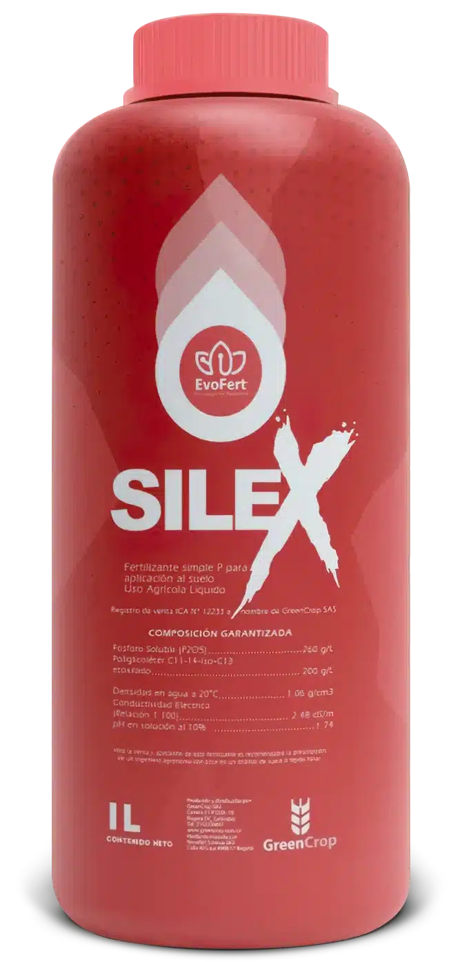 SILEX®