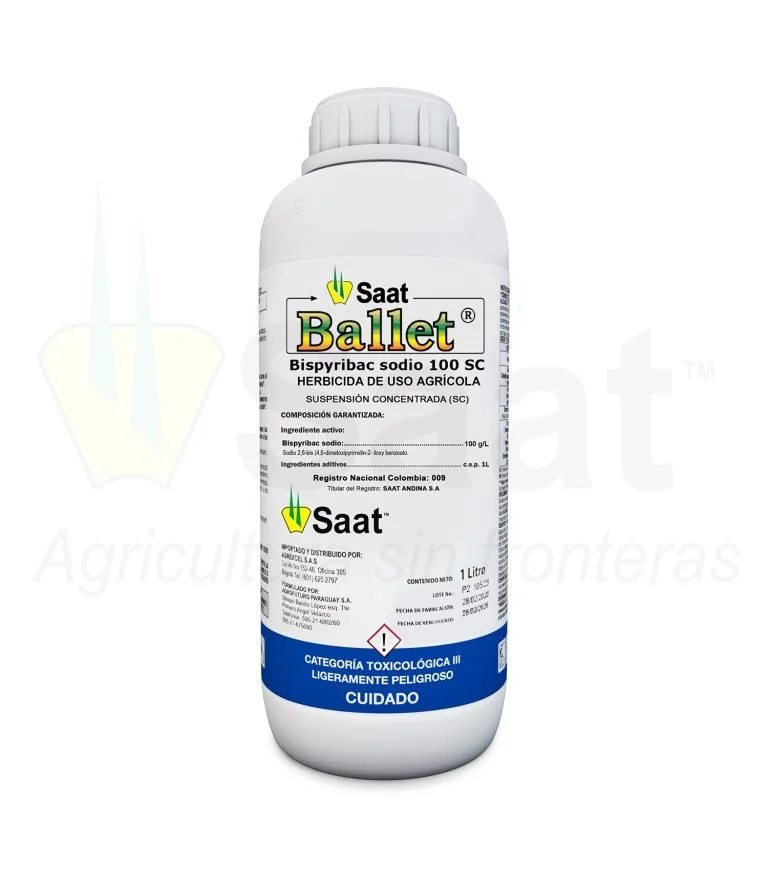 SAAT BALLET® 100 sc