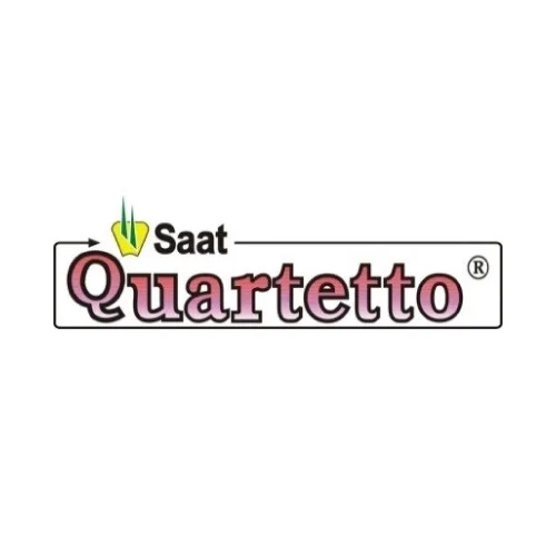 SAAT QUARTETTO® 250 EC
