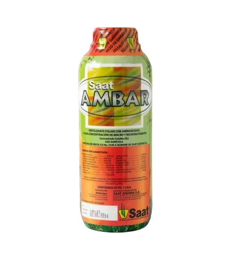 SAAT AMBAR®